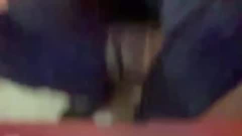 Snapshot of timplaw chatting on January 3, 2025, 3:33 pm Timplaw online show from January 3, 2025, 3:33 pm