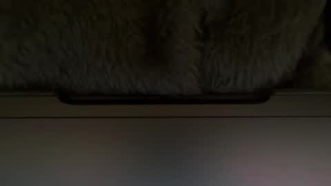 Snapshot of timplaw chatting on February 11, 2025, 1:20 pm Timplaw online show from February 11, 2025, 1:20 pm