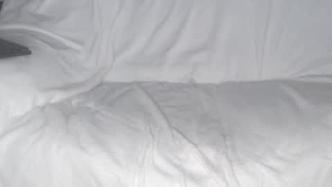 tiny_d online show from December 30, 2024, 8:32 am