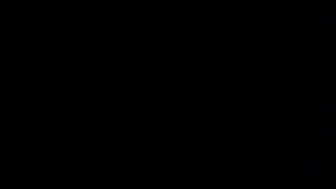 zeetiniee online show from April 13, 2026, 12:16 am