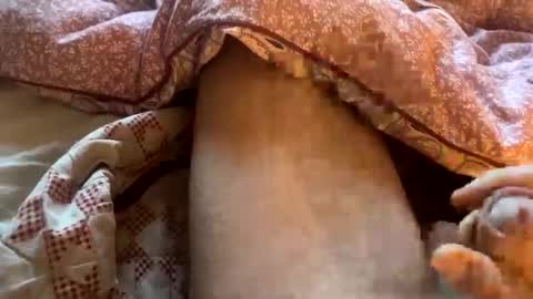 Snapshot of tliverth chatting on November 28, 2025, 7:11 am tliverth online show from November 28, 2025, 7:11 am