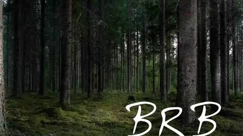 Snapshot of tmosmun chatting on November 2, 2025, 7:16 pm Tim online show from November 2, 2025, 7:16 pm