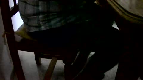 Tobiko online show from December 1, 2024, 4:29 pm