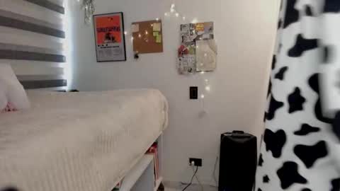 Tokyo  online show from February 20, 2026, 3:56 pm