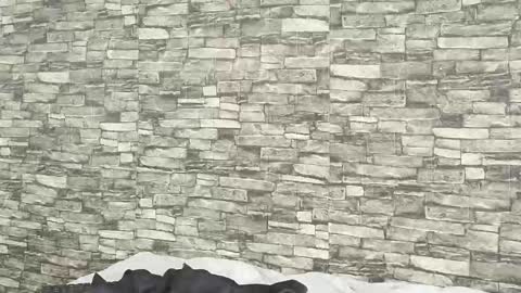 Snapshot of tokyosky chatting on January 5, 2026, 7:39 pm Tokyo online show from January 5, 2026, 7:39 pm