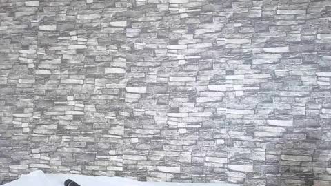 Snapshot of tokyosky chatting on February 2, 2026, 6:06 pm Tokyo online show from February 2, 2026, 6:06 pm