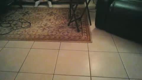 sirmuggsalot online show from March 20, 2026, 7:02 am