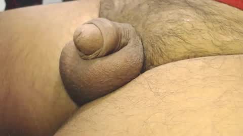 tonyisback2023 online show from February 4, 2026, 11:05 am