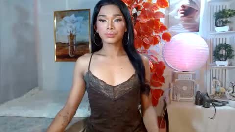 toptrans venice online show from April 14, 2026, 12:16 am