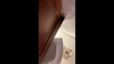 Snapshot of toronto5656 chatting on January 12, 2025, 4:00 am toronto5656 online show from January 12, 2025, 4:00 am