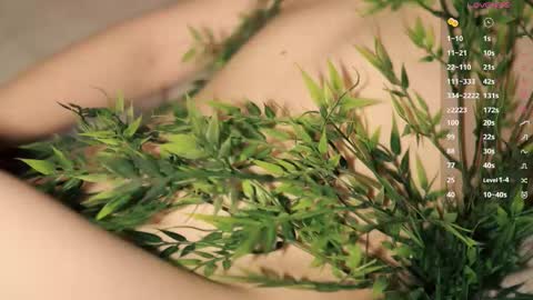 Toshi online show from March 12, 2026, 1:06 pm