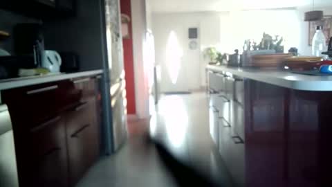 toutim6163 online show from September 30, 2025, 7:02 am