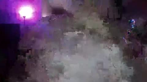 transgirl005 online show from November 10, 2025, 10:03 am