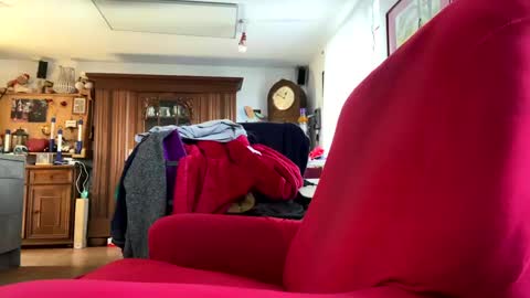 Snapshot of trebgeis1 chatting on February 18, 2025, 11:44 am trebgeis1 online show from February 18, 2025, 11:44 am