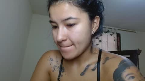 trebol_4 online show from April 13, 2026, 3:50 pm