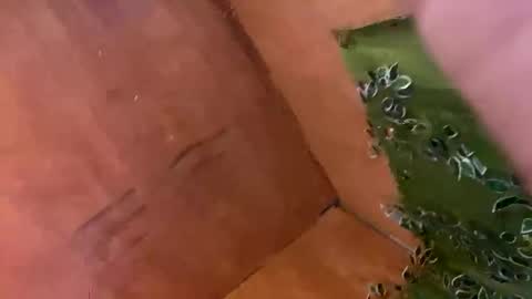 Snapshot of trebz_01 chatting on November 17, 2025, 7:58 am trebz_01 online show from November 17, 2025, 7:58 am