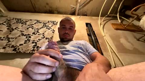 Snapshot of trees559 chatting on March 17, 2026, 5:33 am trees559 online show from March 17, 2026, 5:33 am