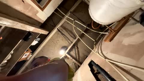 Snapshot of trees559 chatting on March 19, 2026, 5:55 am trees559 online show from March 19, 2026, 5:55 am