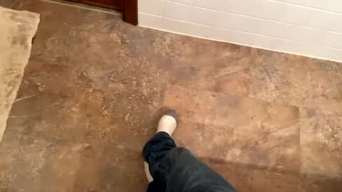 Mystic allusion online show from December 8, 2024, 11:19 pm