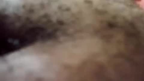 Snapshot of trinislim1868 chatting on October 8, 2025, 9:34 pm Antique-Shirt2516 online show from October 8, 2025, 9:34 pm