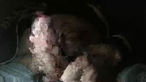 triponsex online show from March 24, 2026, 9:42 pm