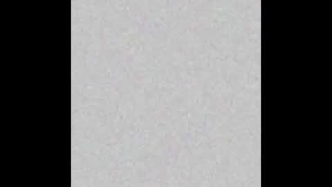 Snapshot of tropicalmadness chatting on February 26, 2026, 1:21 pm Archie Torres online show from February 26, 2026, 1:21 pm