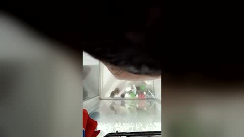 troyacowen1982 online show from July 18, 2026, 7:56 am