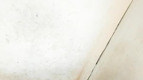 MA NI KA online show from January 11, 2025, 6:35 am