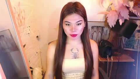 tsnovy online show from February 4, 2025, 10:43 am