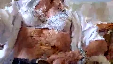 Snapshot of tubaist chatting on September 9, 2025, 12:59 pm FINN but call me NANNA online show from September 9, 2025, 12:59 pm