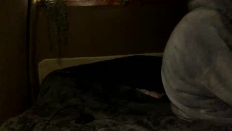 Snapshot of tuhands chatting on February 6, 2025, 6:02 pm Tuhands online show from February 6, 2025, 6:02 pm