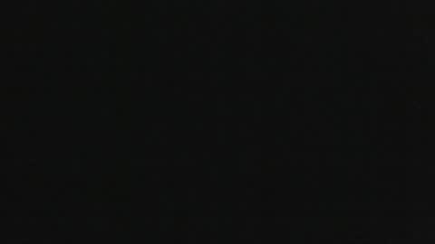 tumbafox1 online show from May 14, 2026, 4:52 am