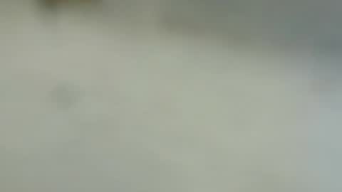 Snapshot of tutu1723153673 chatting on January 6, 2025, 6:10 pm tutu1723153673 online show from January 6, 2025, 6:10 pm