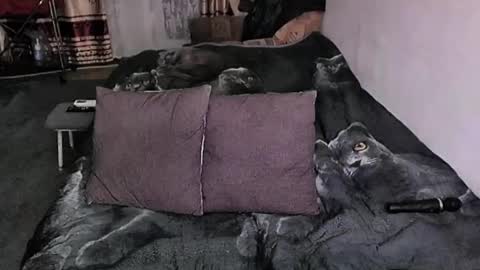 Lana online show from January 17, 2026, 9:18 pm