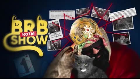 Angus online show from November 3, 2025, 8:04 am