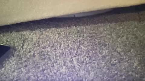 twinkgabe online show from February 16, 2026, 4:03 pm