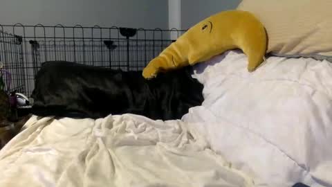 twinkybell online show from October 27, 2025, 4:27 am