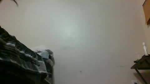 Snapshot of txbigd131369 chatting on January 29, 2025, 1:16 am txbigd131369 online show from January 29, 2025, 1:16 am