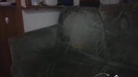 Snapshot of tybud4200 chatting on October 20, 2025, 7:31 am tybud4200 online show from October 20, 2025, 7:31 am