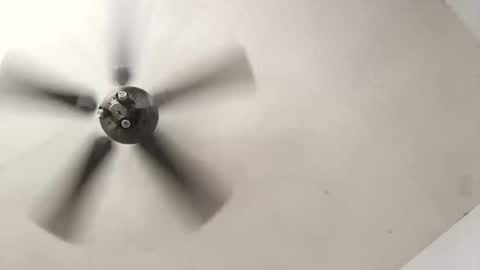 Snapshot of tylertor1984 chatting on October 19, 2025, 5:35 pm Aldo rasid online show from October 19, 2025, 5:35 pm