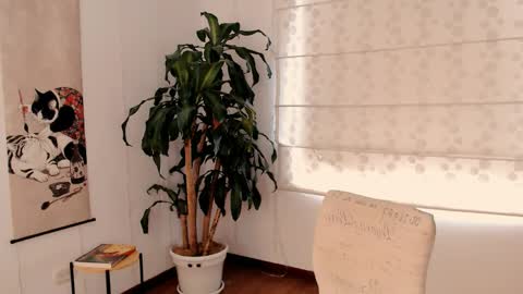 Martina online show from May 11, 2026, 4:04 pm