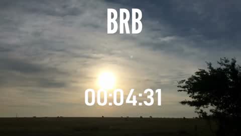 Snapshot of ulmo_br chatting on December 15, 2024, 10:58 pm ulmo_br online show from December 15, 2024, 10:58 pm