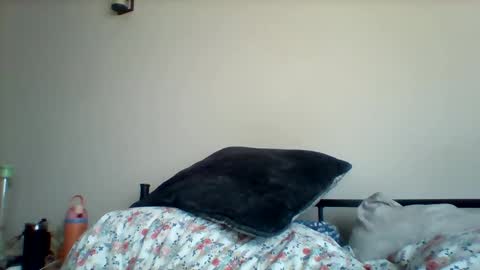 uncircumcise30 online show from March 19, 2026, 12:53 pm