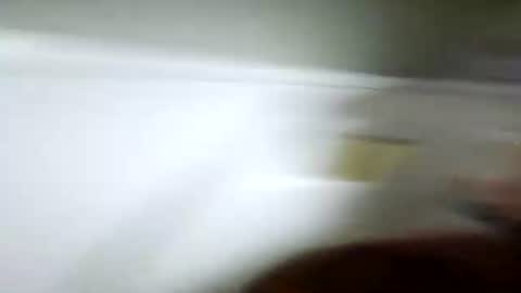 urhukleberry69 online show from June 24, 2026, 6:12 am