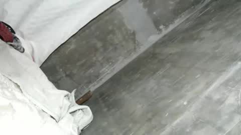 Ariana online show from February 8, 2026, 2:15 am