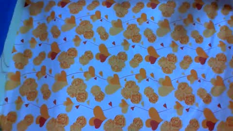 Alexa room  online show from March 3, 2025, 1:31 am