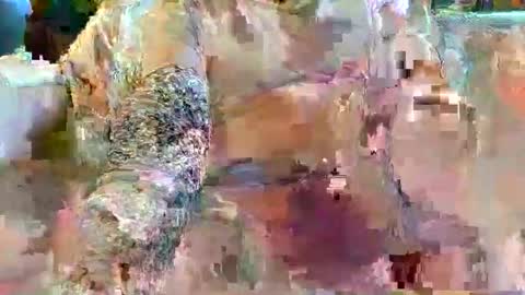 urukai79 online show from February 17, 2026, 12:45 pm