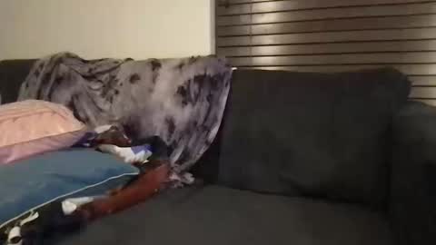 Snapshot of urwivesaffair chatting on October 12, 2025, 1:54 pm Urwivesaffair online show from October 12, 2025, 1:54 pm