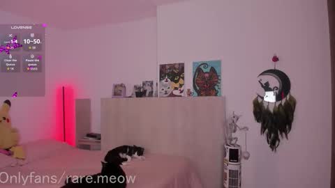    online show from December 23, 2025, 12:08 am