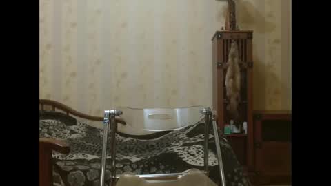 valentijm online show from April 17, 2026, 6:22 pm